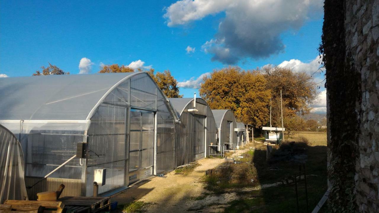 Agriturismo " Le Serre" 斯佩洛 外观 照片