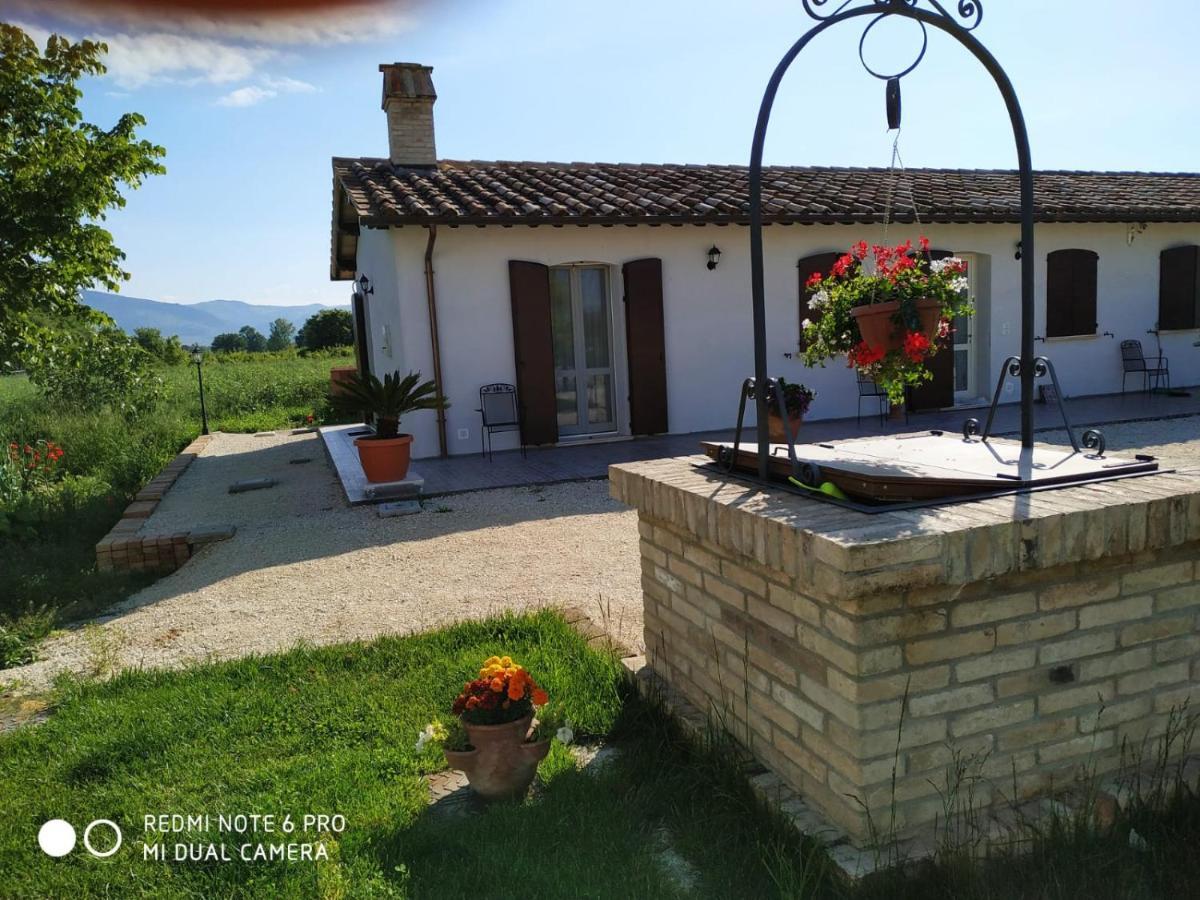 Agriturismo " Le Serre" 斯佩洛 外观 照片